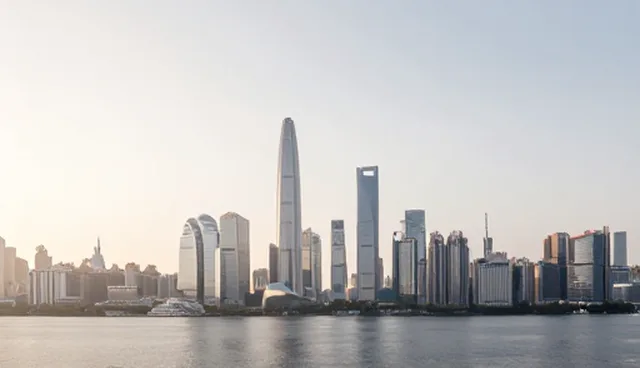 节点可查:管理咨询中的性能与适用条件分析
